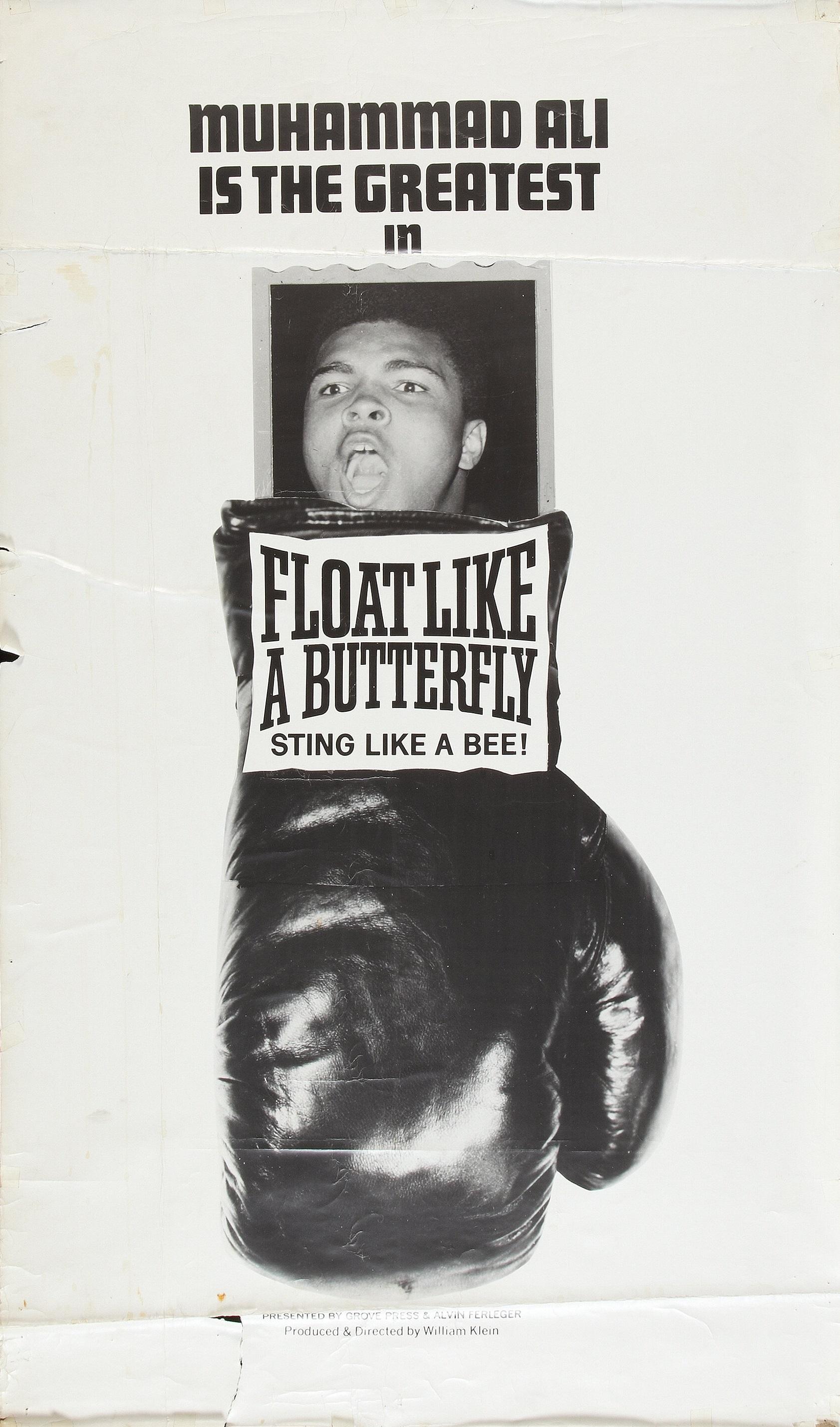 Float Like a Butterfly, Sting Like a Bee